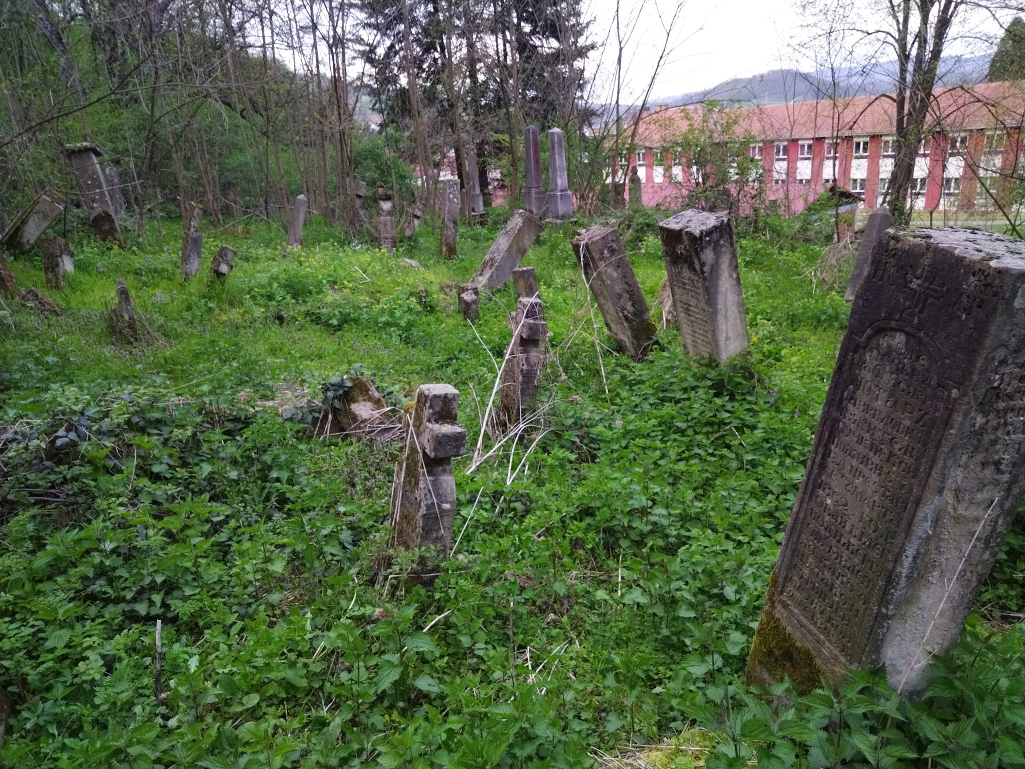 Staro gučko Varoško groblje, tužna slika naših dana (FOTO)